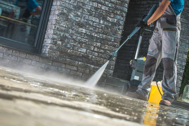 Best Sidewalk and Walkway Cleaning  in Lakeview, OH
