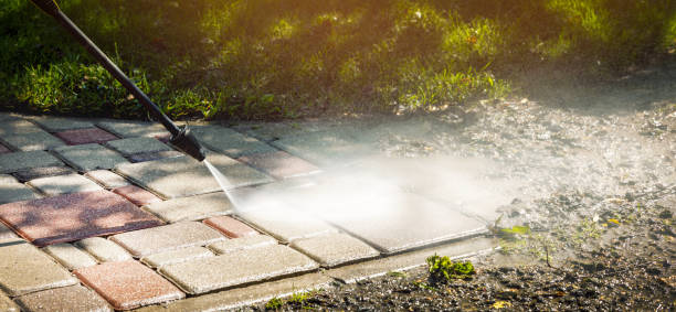 Best Fleet Vehicle Washing  in Lakeview, OH